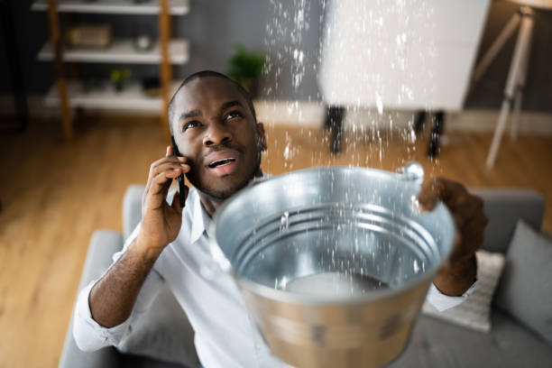 Best 24/7 water damage repair  in Rm Beach, WA