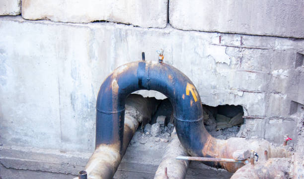 Best Local water damage restoration  in Rm Beach, WA